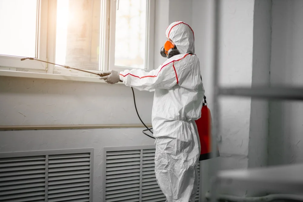 Professional mold remediation services in Berkeley Heights, NJ